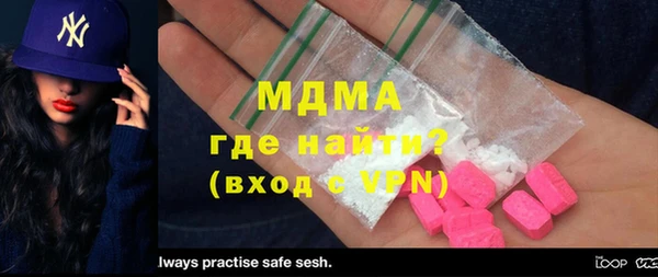 прущие грибы Сосновый Бор