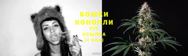 твердый Сосновоборск