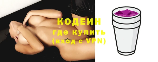 ECSTASY Бородино