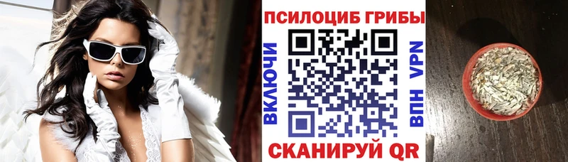Псилоцибиновые грибы Magic Shrooms Томари