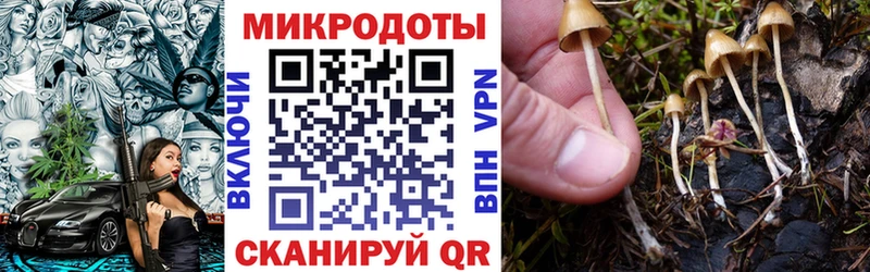 Галлюциногенные грибы Psilocybine cubensis  hydra рабочий сайт  Томари 